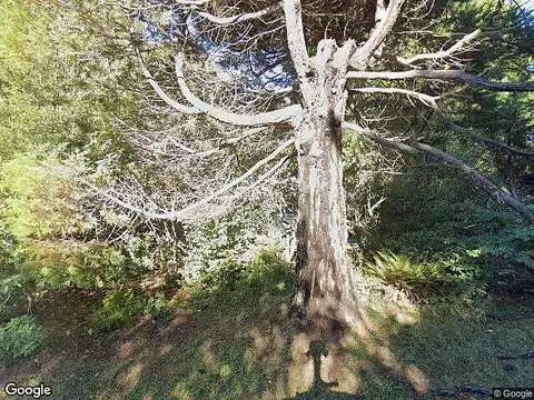 Pudding Creek, FORT BRAGG, CA 95437