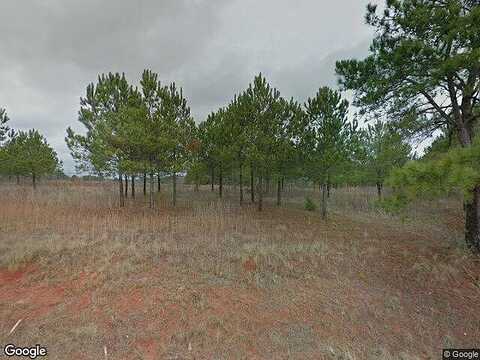Gold Mine Rd, Grantville, GA 30220