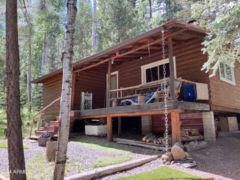 County Road 1006 --, Greer, AZ 85927