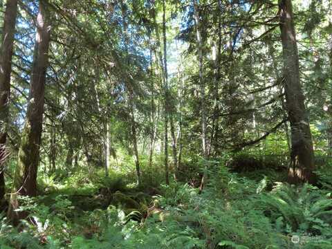 Sand Creek, MORTON, WA 98356