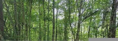 Highway 34 W, Newnan, GA 30263