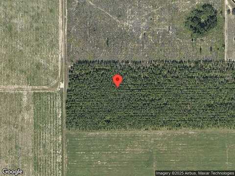 Passion Flower Way, Winter Garden, FL 34787