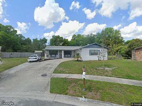 Coppertree Cir, Brandon, FL 33511