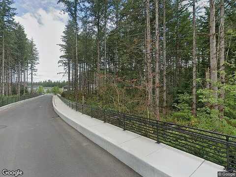 Site 203 Basswood Avenue Southeast, Black Diamond, WA 98010