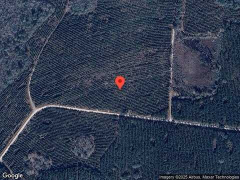 Doctor'S Creek Road Ne, Ludowici, GA 31316