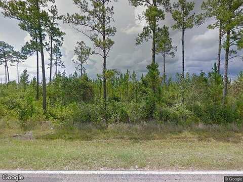 Ne Mill Pond Rd, Ludowici, GA 31316