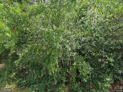 1St Ave Ne, Lutz, FL 33549
