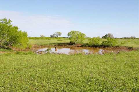 Tract 10 Armstrong Derry Road, Waelder, TX 78941