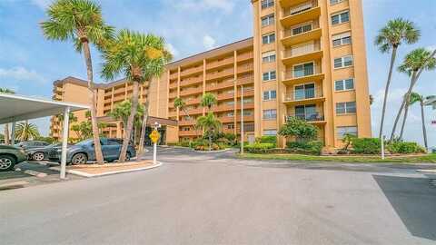 Haig, DUNEDIN, FL 34698