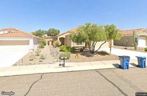 Celosia, ORO VALLEY, AZ 85755