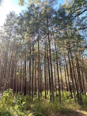 Pierce Chapel, CAIRO, GA 39827