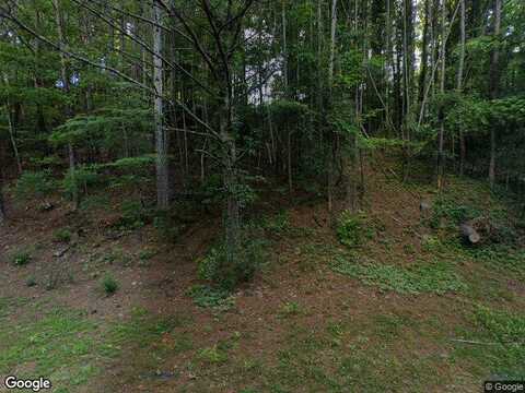 Laguna Springs, WOODSTOCK, GA 30188