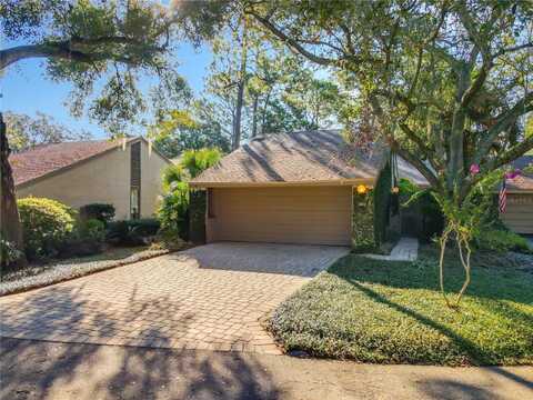 Weeping Elm, LONGWOOD, FL 32779