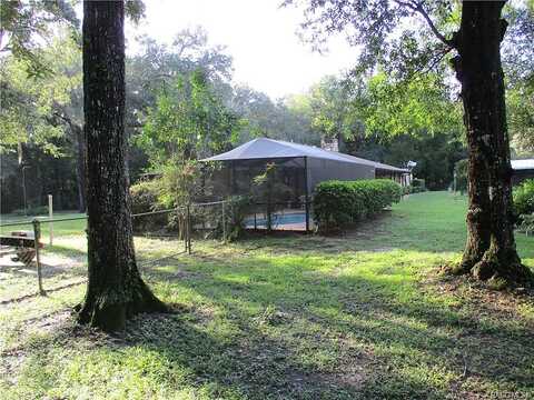 Dawnflower, CRYSTAL RIVER, FL 34428