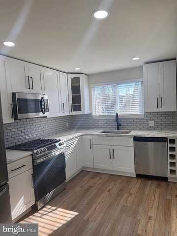 Osceola, ELKINS PARK, PA 19027