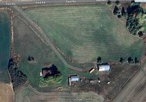 Reid, PULLMAN, WA 99163