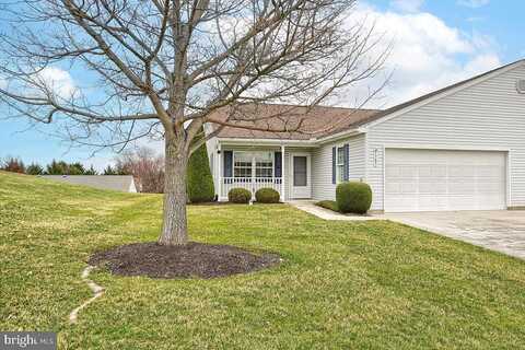 Chami, SPRING GROVE, PA 17362