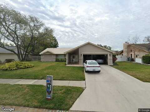 Brian, PALM HARBOR, FL 34685