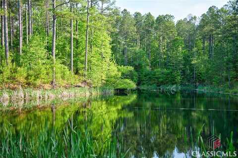 0 North Point Peter Road, Carlton, GA 30627