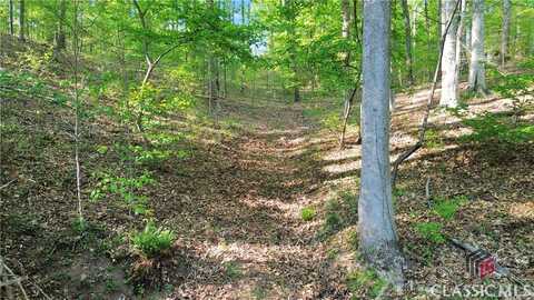 00 Flanagan Mill Road, Auburn, GA 30011