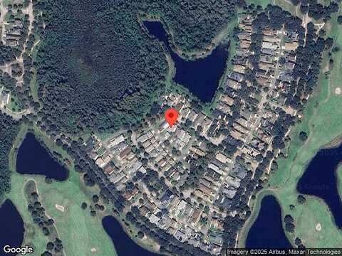 Buttonbush, HARMONY, FL 34773