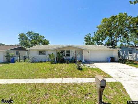 Alcea, NEW PORT RICHEY, FL 34652