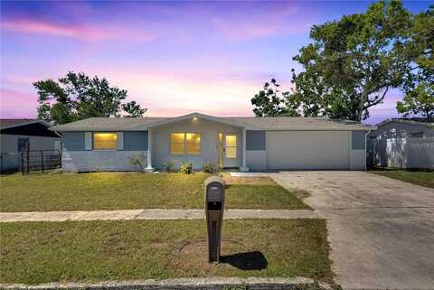 Alcea, NEW PORT RICHEY, FL 34652