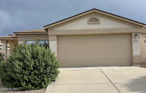 Rooner, TUCSON, AZ 85730