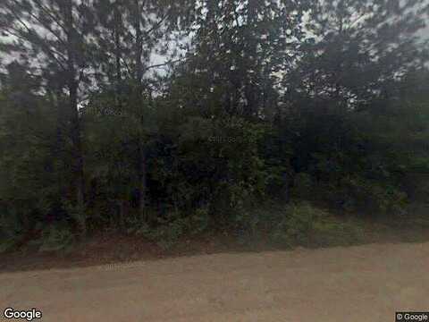 Bluff, JESUP, GA 31545