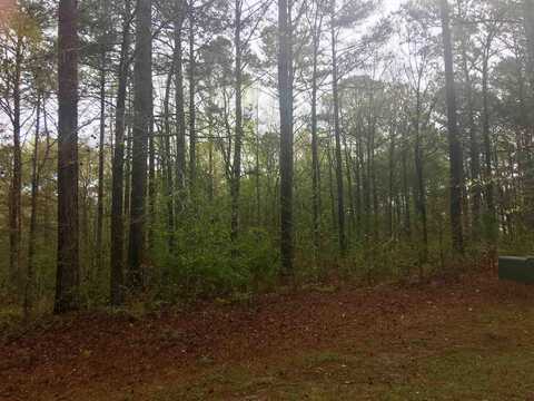 104 CAROLYN DRIVE, Eatonton, GA 31024