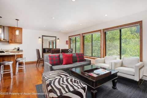 725 E Main Street, Aspen, CO 81611