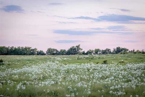 Lot 2A Vineyard View Trail, Carmine, TX 78932