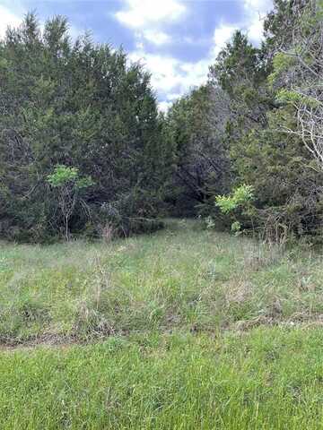 43208 Fringewood Drive, Whitney, TX 76692