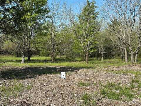Tract 3 Farm to Market 1743, Honey Grove, TX 75446