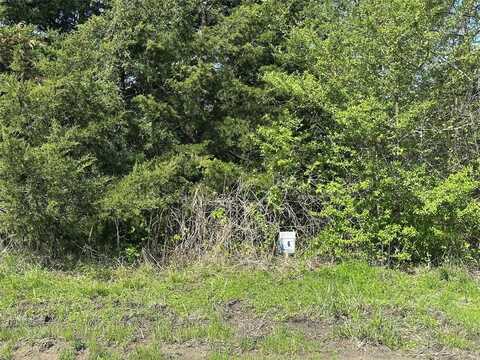 Tract 6 Farm to Market 1743, Honey Grove, TX 75446