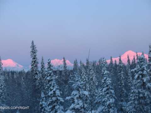No Road Front Lake ASLS 78-090, Talkeetna, AK 99676
