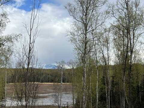 8919 W Cormorant Way, Wasilla, AK 99623
