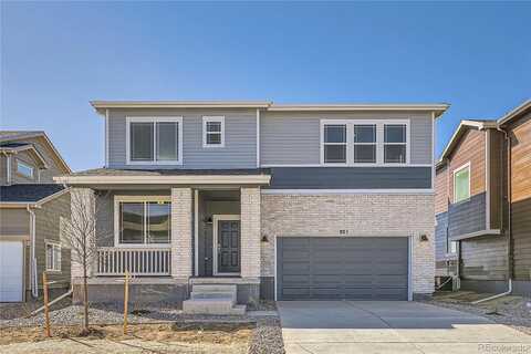 Sunflower, BRIGHTON, CO 80601