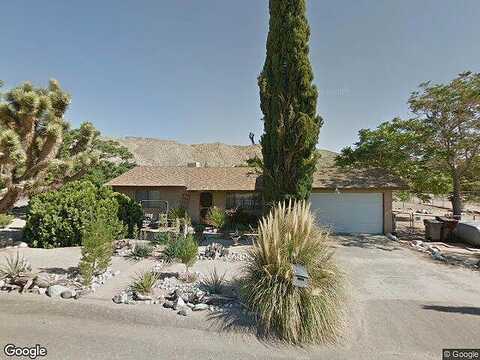 Coyote, YUCCA VALLEY, CA 92284
