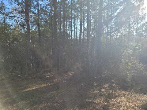 Behind 171 Off Springs Road, Aiken, SC 29801