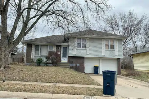 Palmer, KANSAS CITY, MO 64134