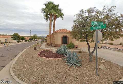 Gambel, FOUNTAIN HILLS, AZ 85268