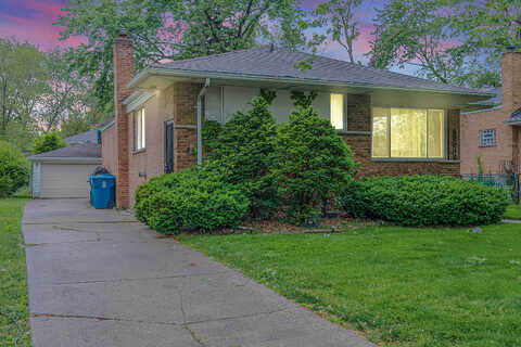 Debbie, SOUTH HOLLAND, IL 60473