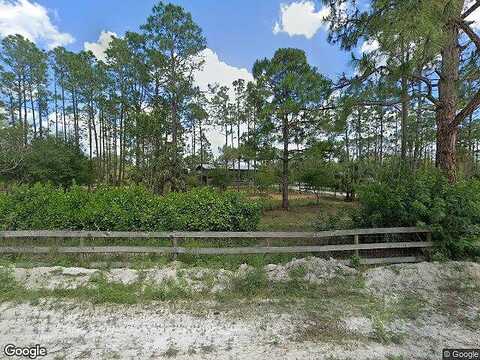 Wildcat, FORT MYERS, FL 33913