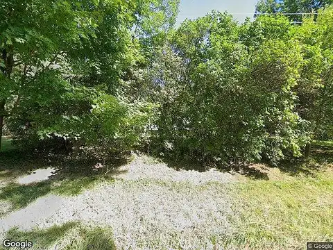 White, BAILEY, MI 49303