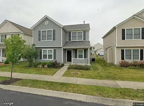 Silver Fir, GROVE CITY, OH 43123