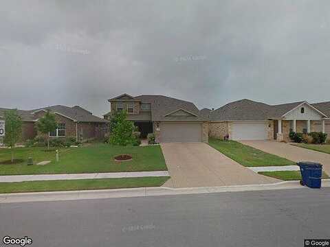 Hummingbird, LEANDER, TX 78641