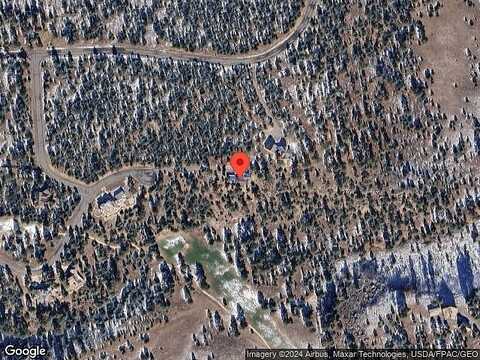 Hummingbird, RIDGWAY, CO 81432