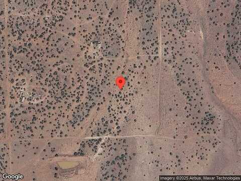 Cottontail, SNOWFLAKE, AZ 85937