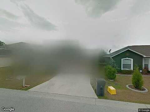 Warbler, WINTER HAVEN, FL 33880